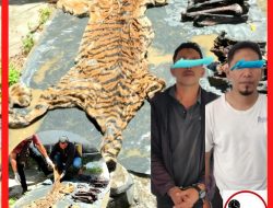 Mantan Bupati Bener Meriah Diamakan Terkait Dugaan Jual Kulit Harimau 
