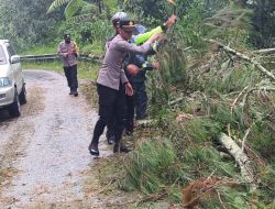 Polres Bener Meriah Respon Cepat Bersihkan Pohon Tumbang