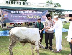 Polres Simalungun Potong Hewan Kurban 10 Sapi dan 4 Kambing Sehat Dan Layak