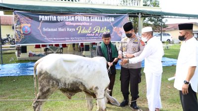 Polres Simalungun Potong Hewan Kurban 10 Sapi dan 4 Kambing Sehat Dan Layak