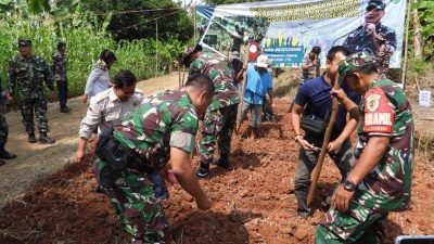 Tingkatkan Ketahanan Pangan , Dandim 0613/Ciamis lakukan Penanaman Jagung di Baregbeg