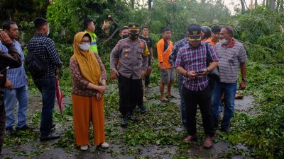 Plt Walikota Pematangsiantar  Tinjau lokasi Pohon Tumbang Akibat  Hujan disertai Angin Kencang Melanda Kota Pematangsiantar 