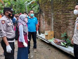 Jasad Bayi Perempuan ditemukan di Pekarangan Rumah Warga di Kroya 