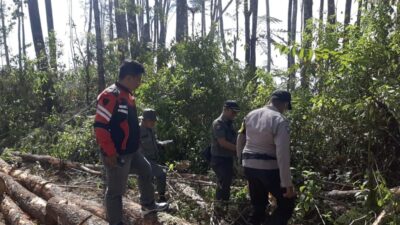 Tim Polres Taput Turun Ke Lokasi Hutan Reboisasi Dolok Imun Kecamatan Siborongborong