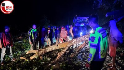 Kasat Lantas Polres Simalungun Turun Langsung Bantu Evakuasi Pohon Tumbang Agar Lalu Lintas Lancar