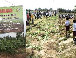 Penggarap Lahan Bah Jambi Libatkan Anak Dibawah Umur Lawan PTPN4