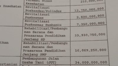 Terkait Pinjaman PEN TA 2020, Djonggi Napitupulu: Entah Ekonomi Siapa yang Pulih Atas Pinjaman 326 M   