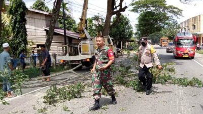 Lewat Curhat Warga Peureulak Timur, Kapolres Aceh Timur Lakukan Penebangan Pohon yang Membahayakan Pengguna Jalan