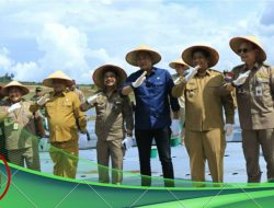 Menjadi KPT Pertama di Sumut, Mentan Tanam Kentang Perdana di Samosir