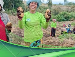 Selain Untungkan Petani, Food Estate Humbahas Ciptakan Lapangan Pekerjaan bagi Masyarakat
