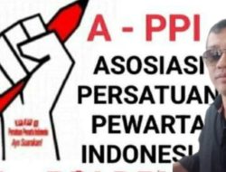 DPD A-APPI Aceh Timur Apresiasi Persatuan Wartawan Aceh Timur (Pesawat)