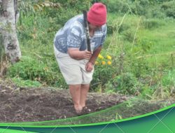 Delapan Terlapor Dugaan Pengrusakan Lahan Pertanian Mangkir dari Panggilan Polisi