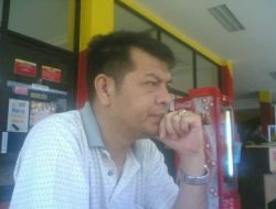 Peternak Babi di Taput Menjerit Akibat Harga Merosot