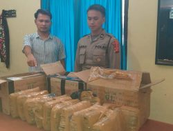 Ganja Kering 12 Kg Gagal Dikirim Ke Depok