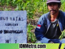 Maya Situmorang:Kita Melakukan Penebagan Kayu Pinus di Dolok Imun Taput Sesuai Tapal Batas Kehutanan