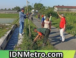 Peduli Kelestarian Alam, Sertu Aria Fantari bersama Dinas Terkait Tanami Pohon Disepanjang Jalan di Lungkungan Kromasan