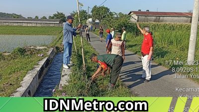 Peduli Kelestarian Alam, Sertu Aria Fantari bersama Dinas Terkait Tanami Pohon Disepanjang Jalan di Lungkungan Kromasan