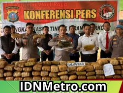 Mantap ! Polresta Deli Serdang Ungkap Peredaran 173 Kg Ganja Kering