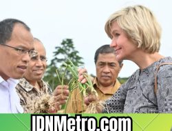 Kepala Perwakilan Bank Dunia Indonesia-Timor Leste Berkunjung ke Humbahas 