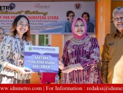 Ketua TP PKK Provsu Monitoring Desa Percontohan di Humbahas