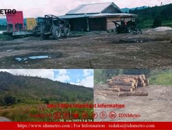 Hutan Dolok Imun di Taput Habis Digunduli Penebang Kayu secara ‘Liar’