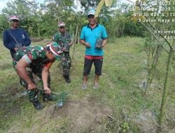 Dukung Penghijauan, Babinsa Koramil Udanawu Bersama Warga Tanam Pohon Alpukat