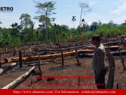 Personel Polsek Dolok Silau  Berhasil Padamkan Titik Api di Perladangan Juma Pamatang