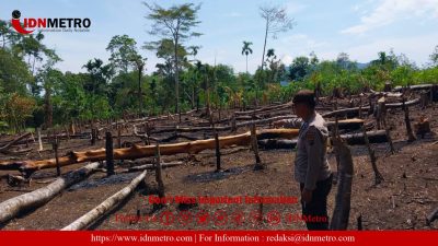 Personel Polsek Dolok Silau  Berhasil Padamkan Titik Api di Perladangan Juma Pamatang