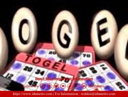 Resahkan Warga, Kapolda Sumatera Utara Diminta Berantas Judi Togel di Taput