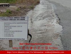 Parah! Proyek Betonisasi Bahu Jalan di Desa Banualuhu Terkesan Asal Jadi   