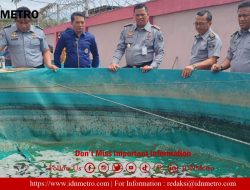 “SAE” Rutan Kabanjahe Kemenkumham Sumut Panen Lele Hasil Budidaya Warga Binaan