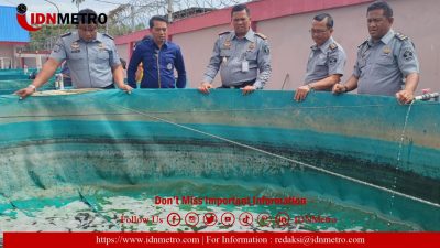 “SAE” Rutan Kabanjahe Kemenkumham Sumut Panen Lele Hasil Budidaya Warga Binaan