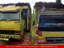 Management Kebun Marihat Bantah Truk Tandan Kosong 10 Ton lsinya Dipangkas, Itu Hoax