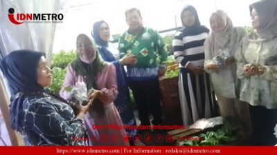 Dharma Wanita Persatuan dan Penyuluh Pertanian Lapangan(PPL) Berbagi Tanaman Bibit Sayuran