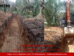 PTPN IV Bah Birong Ulu Alihkan Saluran Air ke Sungai untuk Antisipasi Longsor Jalan Utama di Nagori Parmonangan