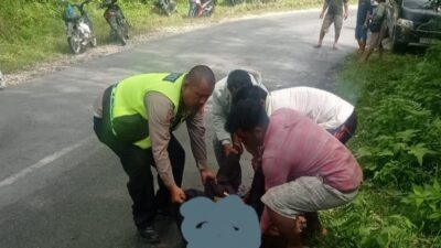 Tabrakan Truk VS Sepeda Motor di Taput, Turut Marhalim Pasaribu Warga Dusun Buit Nange Meninggal Dunia