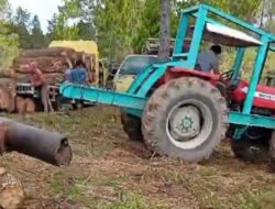 Warga Desa Silando Laporkan Kasus Pencurian Kayu Pinus ke Polres Taput