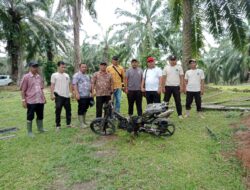 Pemanen Tidak Sah Bakar Septor Security JWM PTPN IV Regional ll Kebun Tinjowan