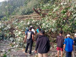 Polres Simalungun dan Warga Evakuasi Pohon Tumbang, Lalulintas Kota Wisata Parapat Kembali Lancar