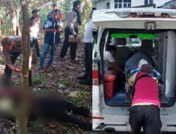 Polsek Parapat Evakuasi Temuan Mayat di Perladangan Kopi, Diduga Akibat Penyakit Asam Lambung Kronis