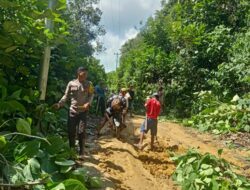 Aksi Peduli Bhabinkamtibmas Polsek Sokan Bersama Petugas PLN dan Masyarakat Gelar Kerja Bakti