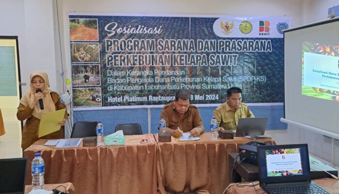 Sosialisasi Sarana dan Prasarana Perkebunan Kelapa Sawit Kabupaten Labuhan Batu Tahun 2024