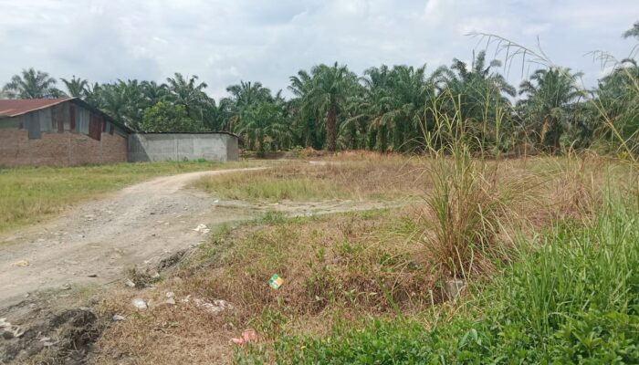 Diduga APH Tutup Mata Maraknya Peredaran Narkoba di Padang Bulan dan Jalan Baru