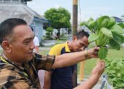 Maksimalkan Hasil “SAE” Pertanian Lapas Tanjungbalai, KaLapas : Kami Pastikan terus Genjot Peningkatan Hasil Panen!