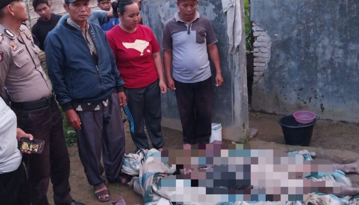 Maruli Tewas Tertimpa Tanah Longsor di Desa Sibalanga