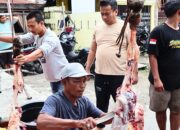 Peringati Idul Adha 1445 Hijriyah, H Zulkarnaen SKM Berqurban 15 Ekor Lembu