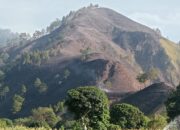 Luas Kawasan Hutan yang Terbakar di Perbukitan Tao Silalahi Danau Toba Capai 50 Hektar