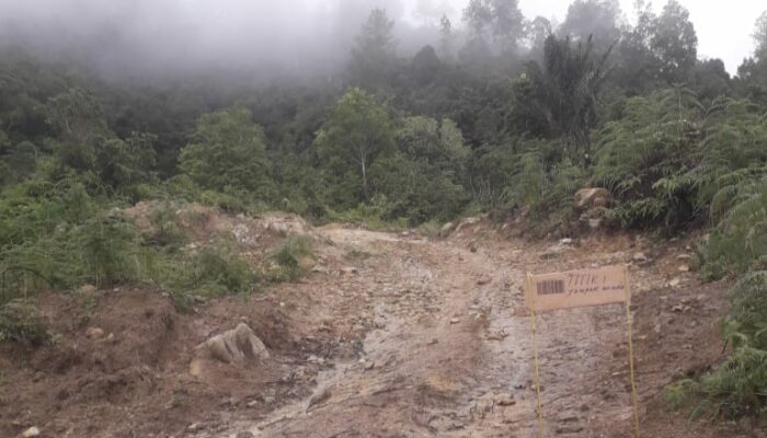 APH Diminta Usut Dugaan Penyelewengan DD di Desa Hutanginjan, Kecamatan Muara