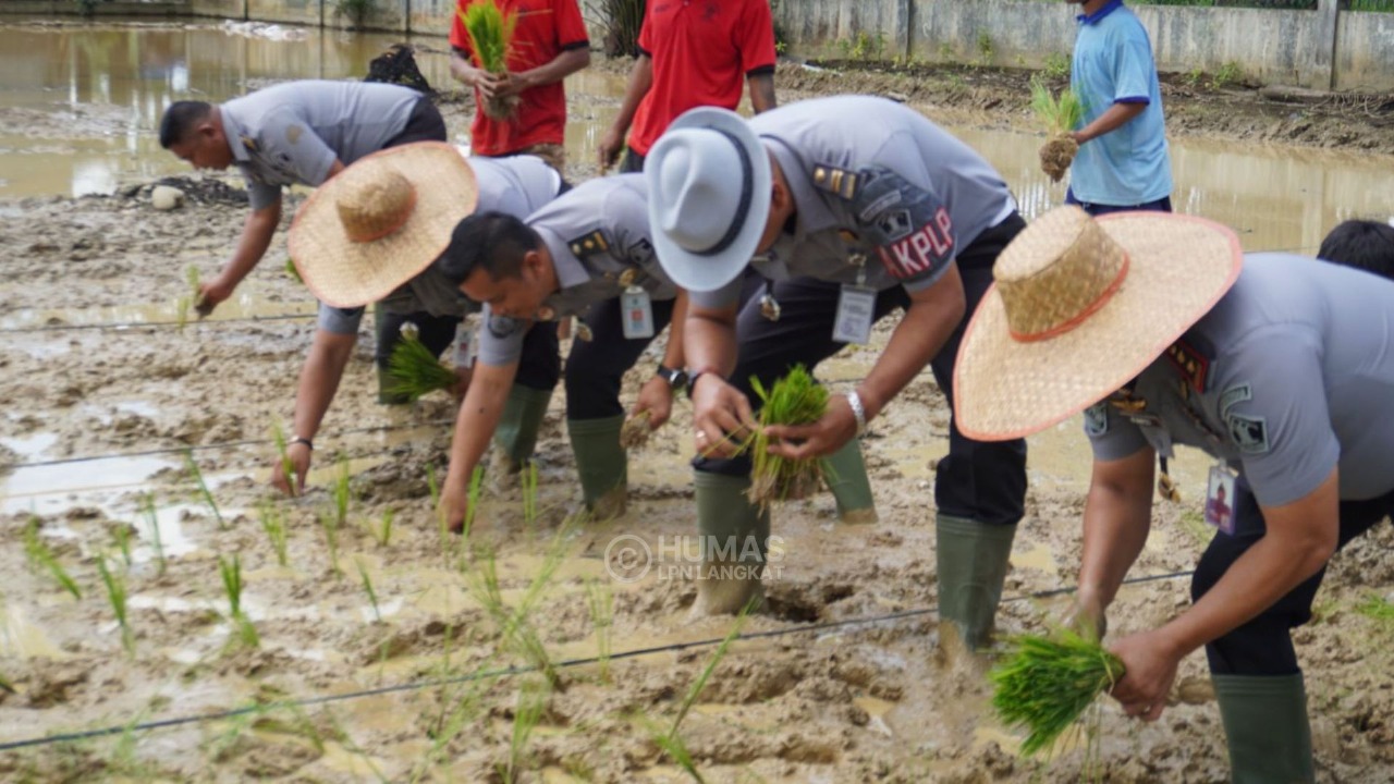 Lapas Narkotika Langkat Asah Keterampilan Pertanian WBP untuk Galakkan Ketahanan Pangan