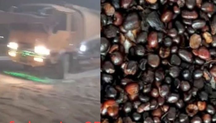 AFR Diduga Kendalikan Penampungan CPO Ilegal di Simpang Milano